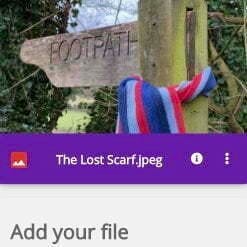 Member Album Upload and Manage