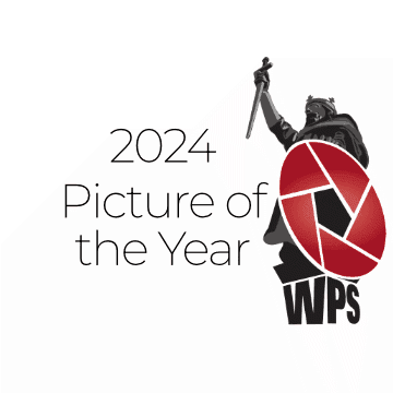 Picture of the Year 2024