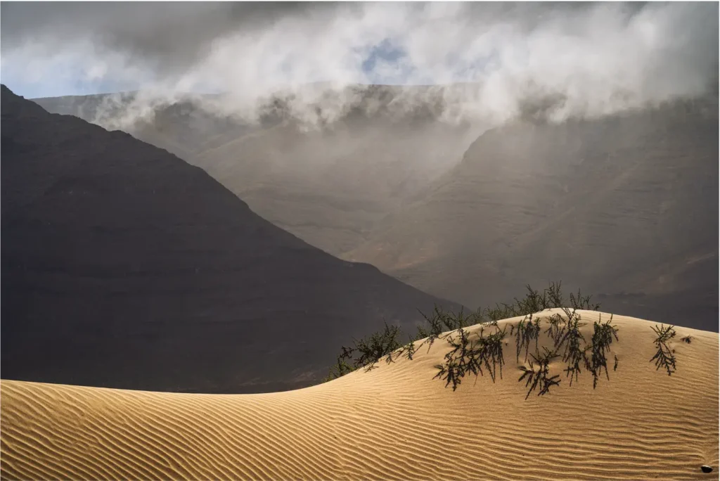 Image by Ruth Grindrod