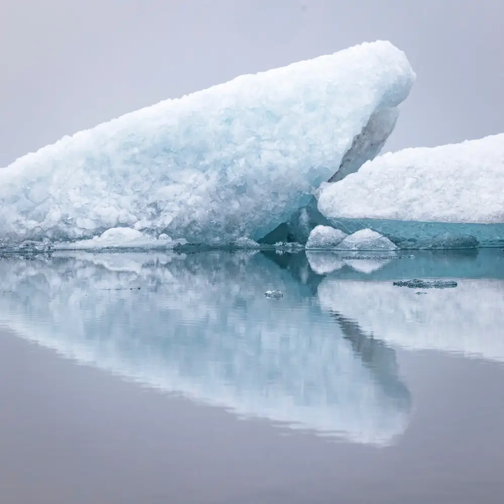 Image by Paul Sansome