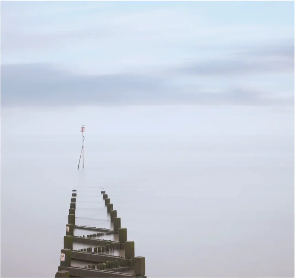 Image by Tony Worobeic