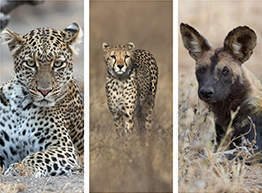 8 March 2022  Sue Morris