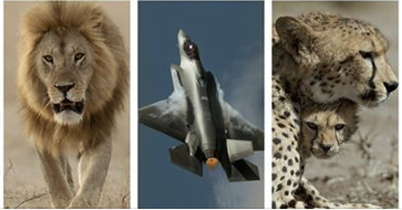 30 March 2021  Sue Morris