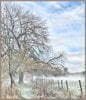 2019 Dec 150 x 100 Deborah Gordon Frosty morning