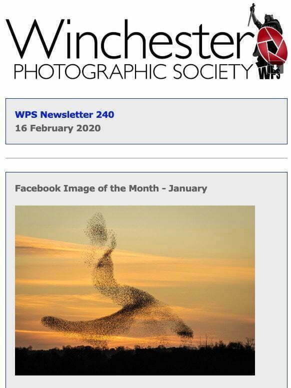 Member Newsletter