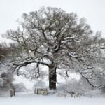 29 September - Looking Local