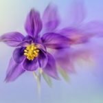 22 September – Creative Photography John Humphrey