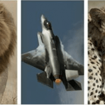 30 March 2021 Sue Morris