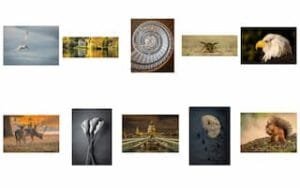 Steve Govan LRPS Panel - Layout